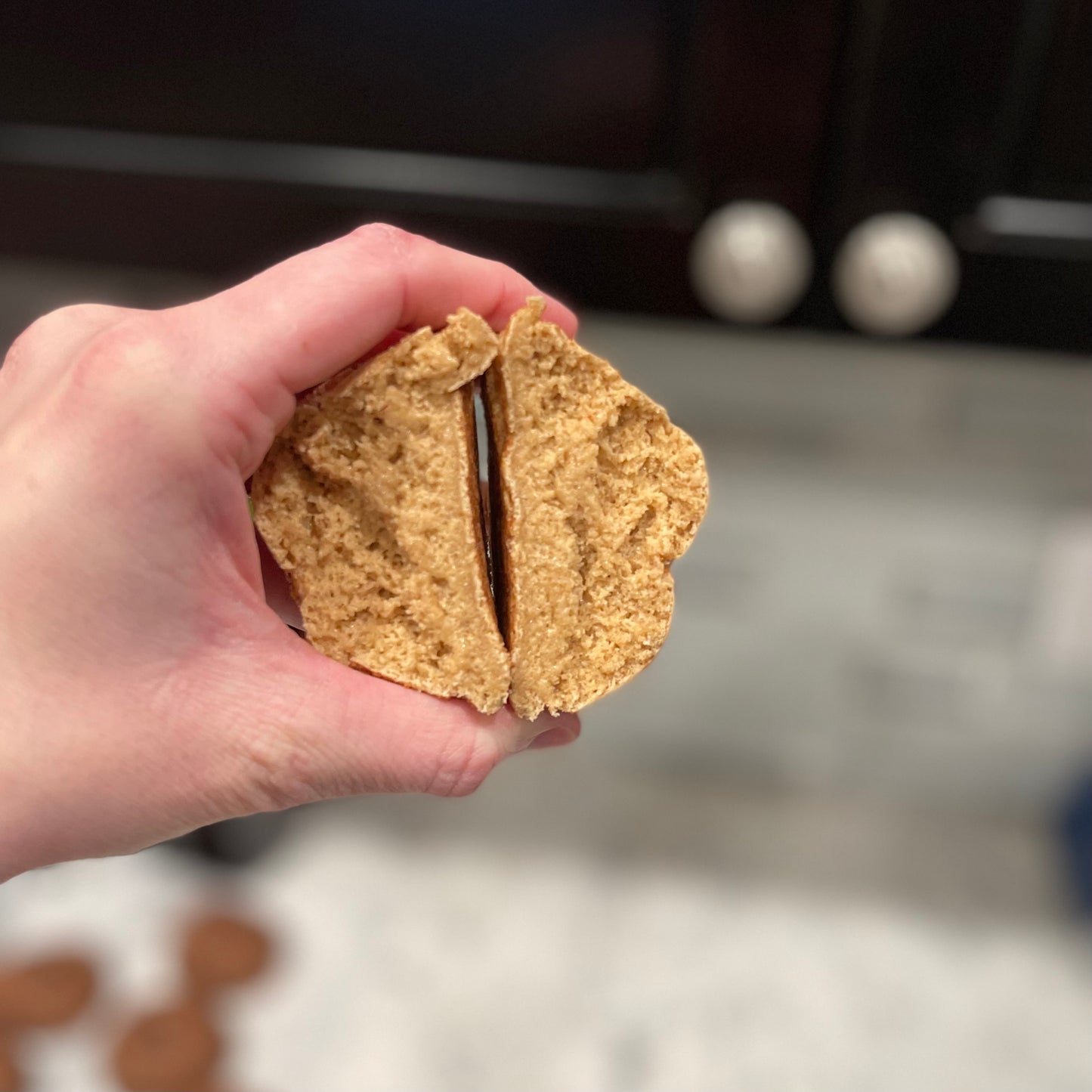Snickerdoodle Protein Cookie