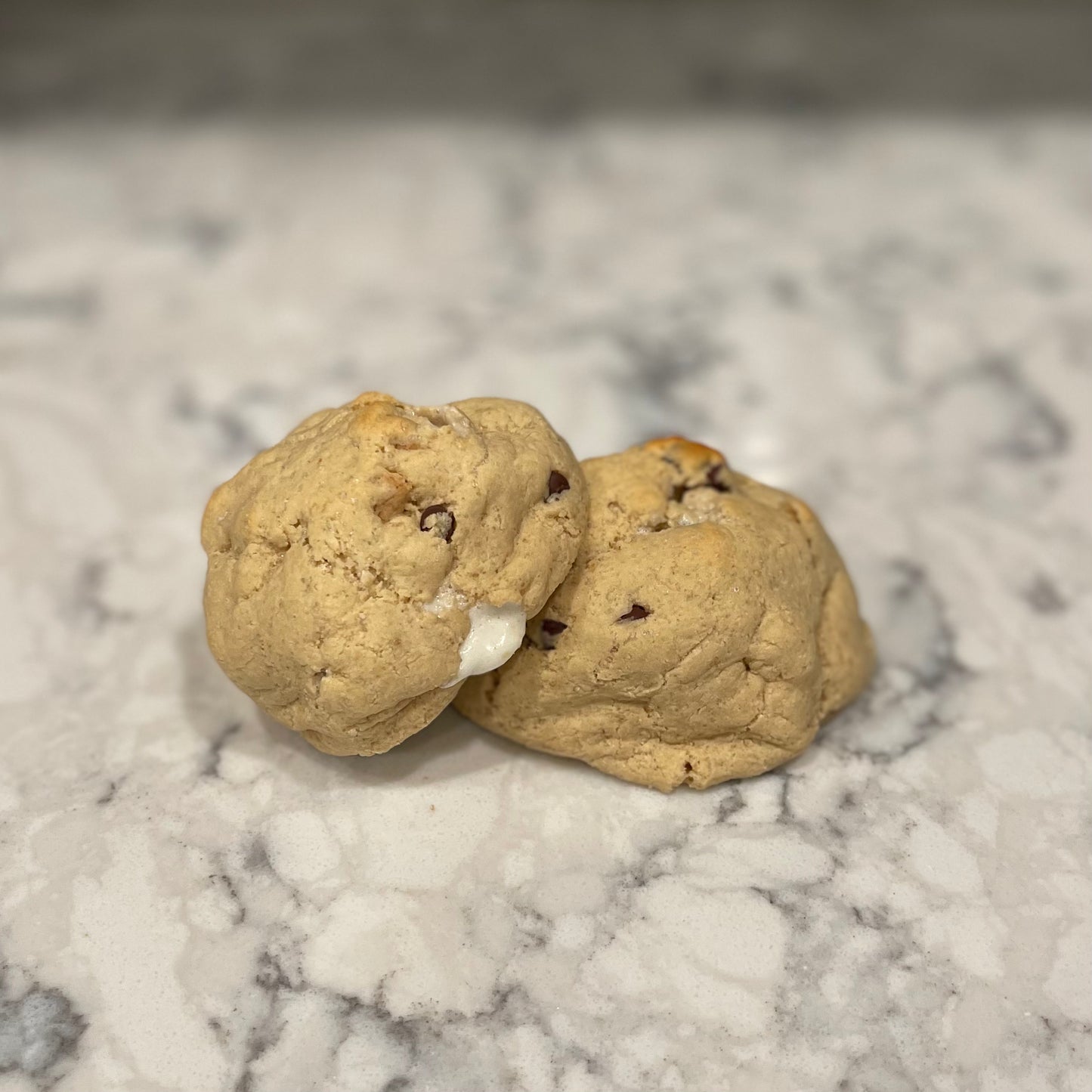 S'Mores Protein Cookie