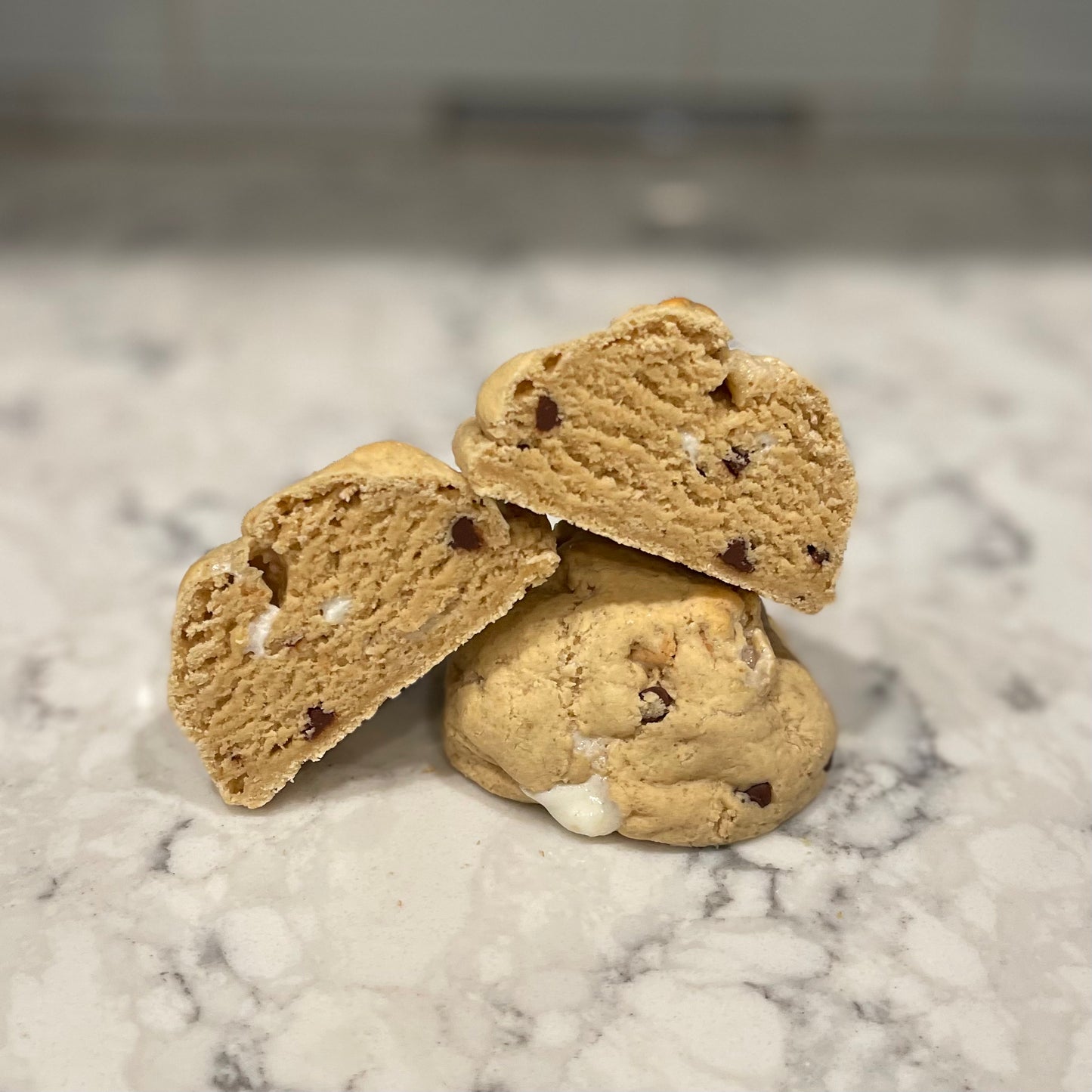 S'Mores Protein Cookie